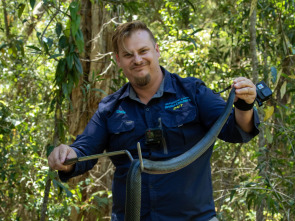 Australia: cazadores de serpientes - Pitón vs. Gatos