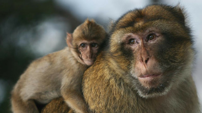 Imagen de Padrazos de la naturaleza - 3