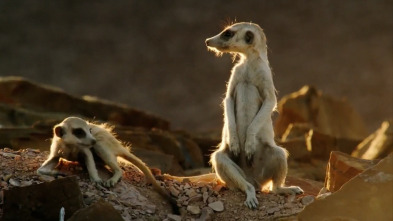 Imagen de Maravillas de África (cada día es una aventura) - 3