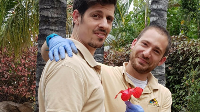 Imagen de Loro Parque de...: Ep.2 - 3
