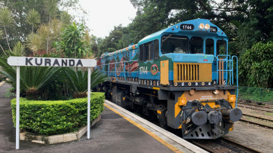 Viajes alucinantes en tren