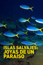 Imagen de Islas salvajes: Joyas de un paraíso  - 2
