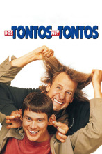 Imagen de Dos tontos muy tontos - 2