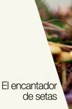 Imagen de El encantador de setas - 2