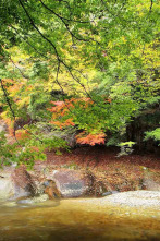 Imagen de Kyushu, el Japón oriental - 2