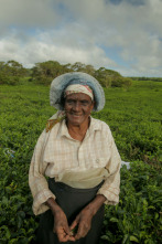 Imagen de Ile Maurice, la douceur de l'océan Indien - 2