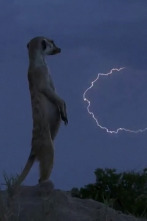 Imagen de Maravillas de África (cada día es una aventura) - 2