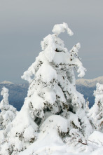 Imagen de Japón, las cuatro...: Otoño e invierno - 2