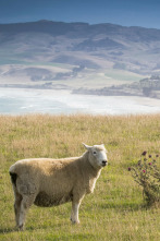Imagen de Nueva Zelanda: isla sur, la isla de jade - 2