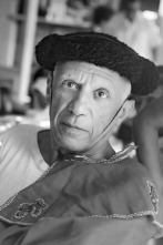 Imagen de Picasso y la tauromaquia - 2