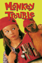 Imagen de Un ladrón de cuatro manos - 2