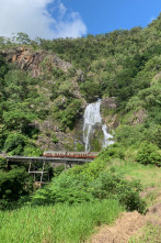 Viajes alucinantes en tren