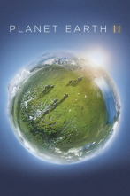 Imagen de Planeta Tierra II - 2