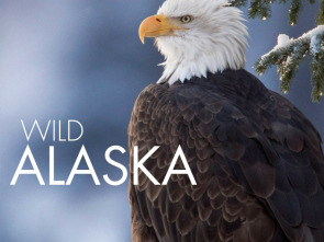 Alaska salvaje 