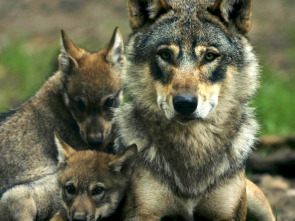 Imagen de Padrazos de la naturaleza - 1