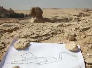 Tesoros al descubierto: Los animales del inframundo de Egipto