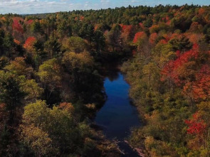 Maine. América al natural
