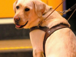 Imagen de Instinto animal: Un día entre fieras - 1