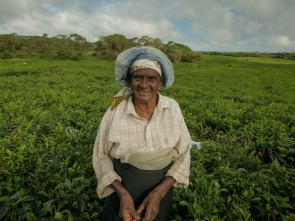 Imagen de Isla Mauricio, la joya del Índico - 1