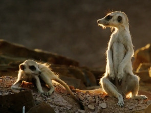 Imagen de Maravillas de África (cada día es una aventura) - 1