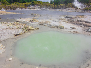 Imagen de Nueva Zelanda: la isla de la gran nube blanca - 1