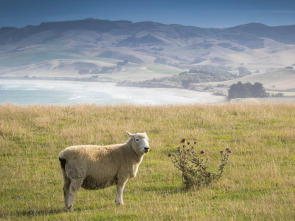 Imagen de Nueva Zelanda: isla sur, la isla de jade - 1
