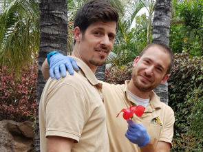 Imagen de Loro Parque de...: Ep.1 - 1