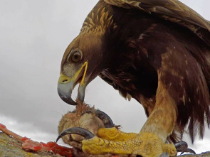 Imagen de Hispania, tierra de conejos - 1