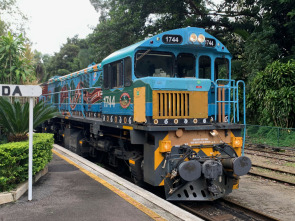Viajes alucinantes en tren