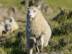 Imagen de Islandia: La Isla Recién Nacida - 1