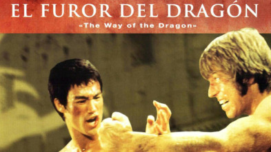 El furor del dragón