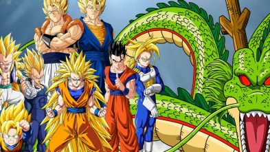 Imagen de Dragon Ball Z Kai (T2): Ep.3 ¡¿La crisis de Videl?! ¡Llamada de emergencia a Gohan! - 3