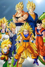 Imagen de Dragon Ball Z Kai (T2): Ep.14 ¡Videl vapuleada! ¡La furia de Gohan llega a su límite! - 4