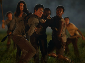 Imagen de El corredor del laberinto - 1