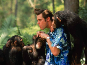 Imagen de Ace Ventura: Operación África - 1