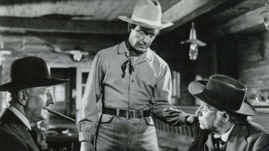 Imagen de Brandy - 3