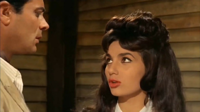 Imagen de Sonaron cuatro balazos - 3