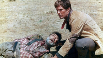 Imagen de El hombre del sur - 3