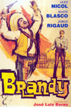 Imagen de Brandy - 2