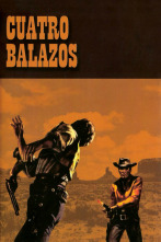 Imagen de Sonaron cuatro balazos - 2