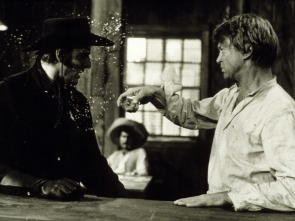 Imagen de Brandy - 1