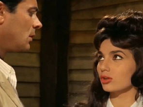 Imagen de Sonaron cuatro balazos - 1