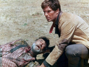 Imagen de El hombre del sur - 1