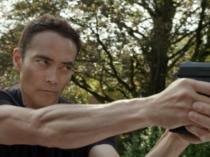 Imagen de Ultimate Justice - 1