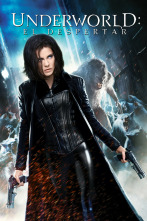 Imagen de 3D Underworld: El despertar - 2