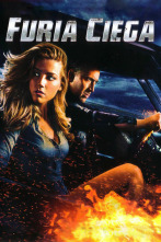 Imagen de Furia ciega - 2