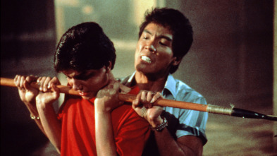 Imagen de Karate Kid II: la historia continúa - 5