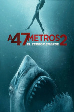 Imagen de A 47 metros 2: El terror emerge - 5