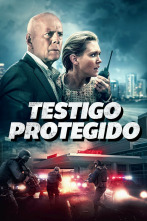 Imagen de Testigo protegido - 4