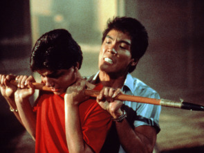 Imagen de Karate Kid II: la historia continúa - 3
